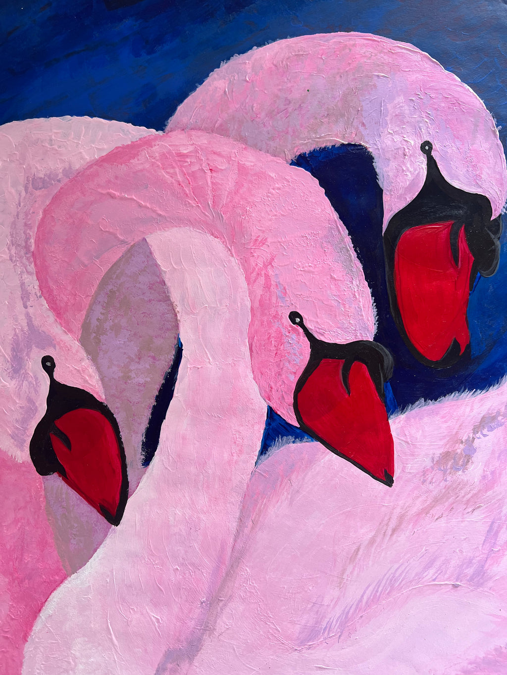 The Pink Swans