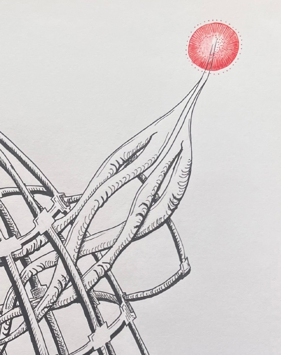 The Soul Is Liberated