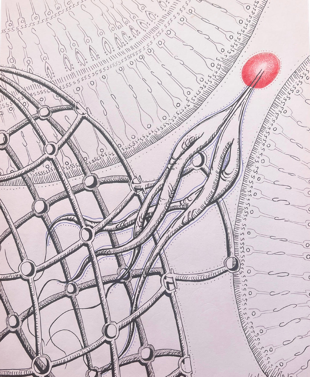 The Liberation of Souls